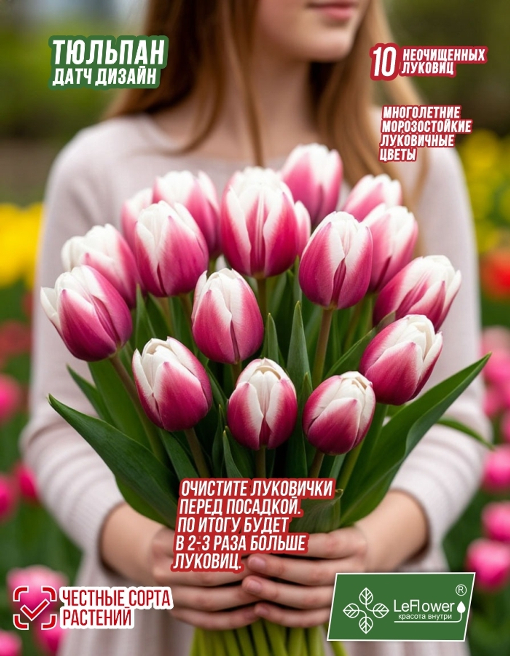 Тюльпан Луковица, Датч Дизайн, 10шт