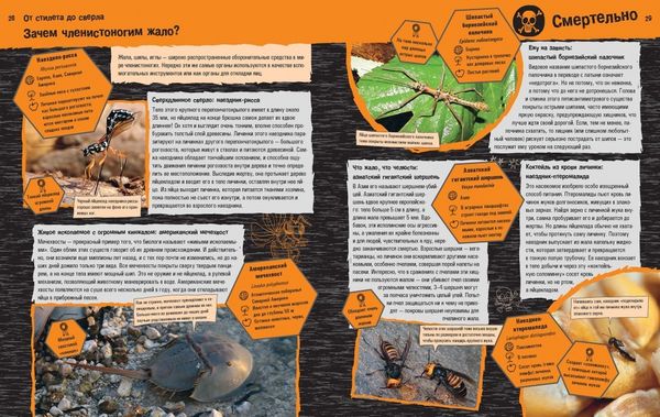 Прекрасные и опасные: насекомые, пауки, скорпионы и прочие