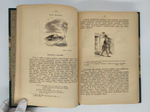 "История русской цензуры и журналистики XIX столетия". Михаил Лемке. 1904г. - антикварная книга