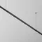 Светильник Точки / Points для системы освещения Shelf 3000К 24Вт 24° Technical c149cl-l900-24w3k-b