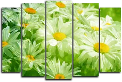 Модульная картина "Ромашки в зеленых тонах"