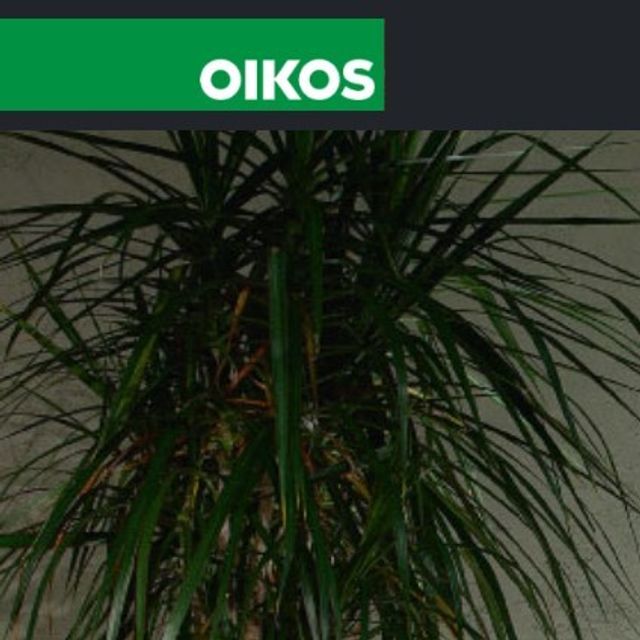 Защитные составы Oikos