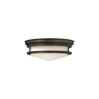 Потолочный светильник Hinkley Lighting, Арт. HK-HADLEY-F-OZ