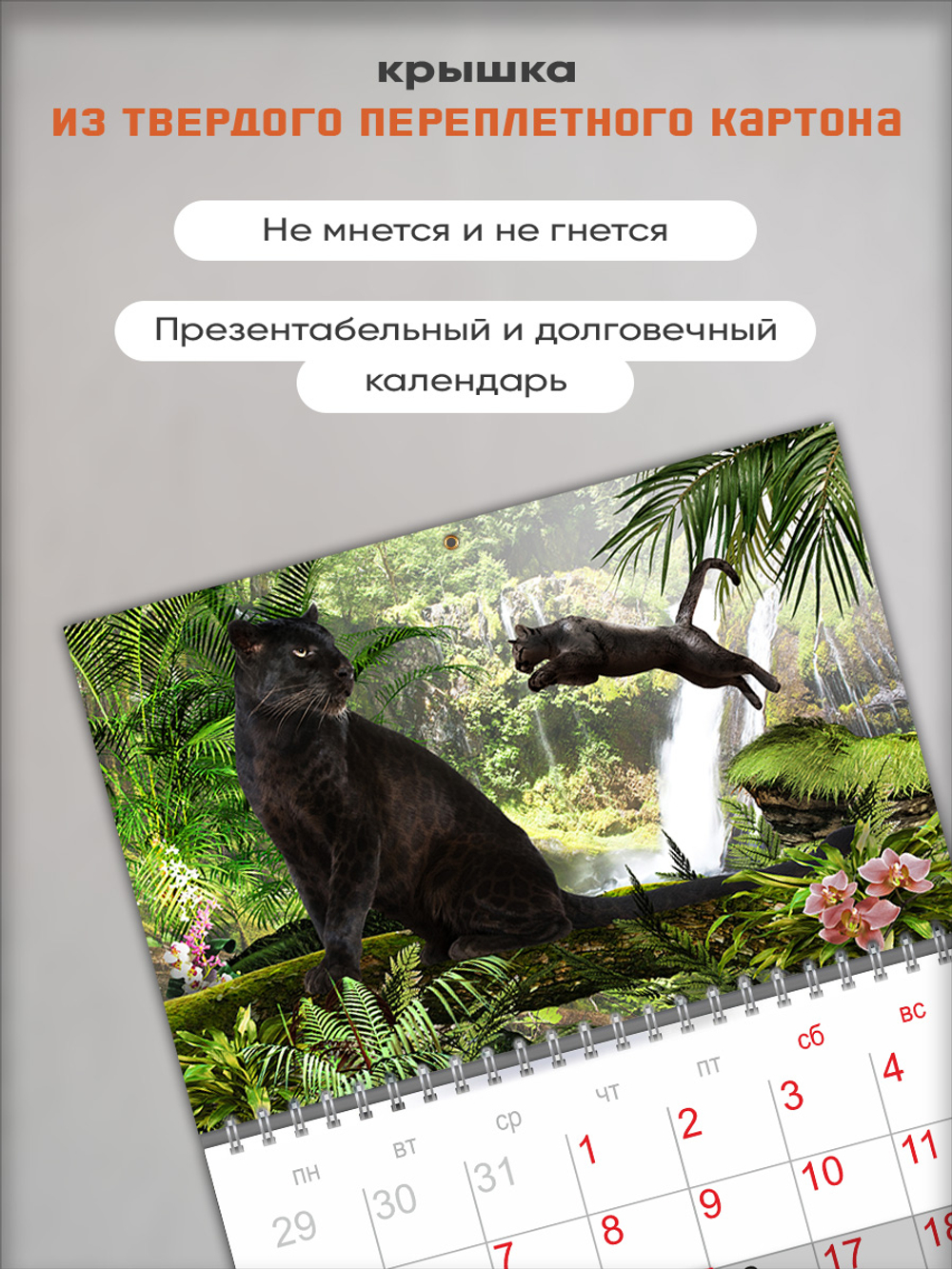 Настенный отрывной календарь "Пантеры"