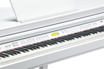 Цифровой рояль Kurzweil KAG100 WHP
