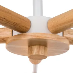 Потолочная люстра Arte Lamp MATTHEW