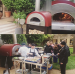Печь для пиццы на дровах ALFA PIZZA Quick Pro (ГАЗ)