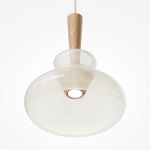 Подвесной светильник Maytoni MOD405PL-01W