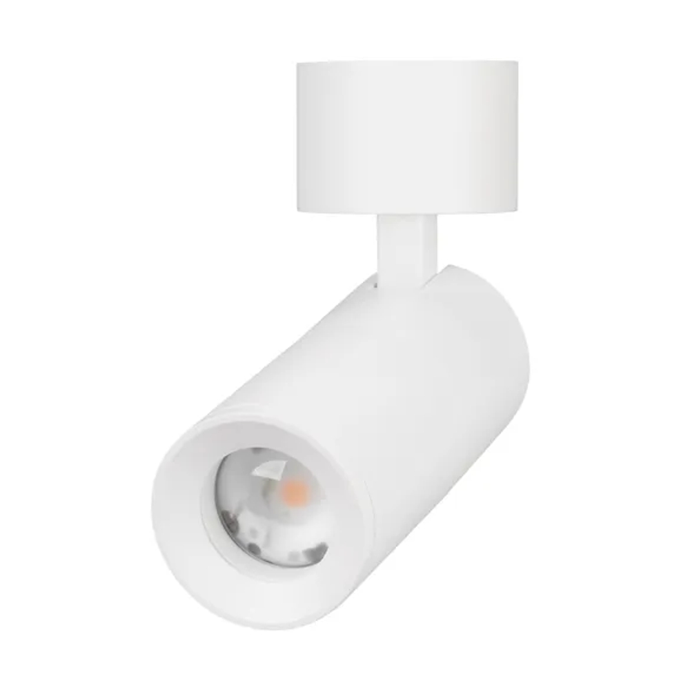 Светильник SP-ARTEMIS-SURFACE-FLAP-R55-12W Day4000 (WH, 8-80 deg, 230V) (Arlight, IP20 Металл, 5 лет) 051787