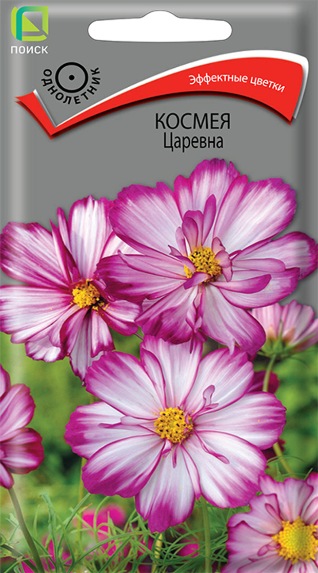 Космея Царевна