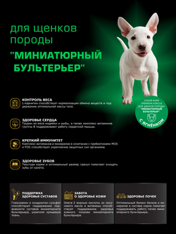 Quattro корм для щенков породы Миниатюрный бультерьер, с ягненком, 6 кг, QUATTRO
