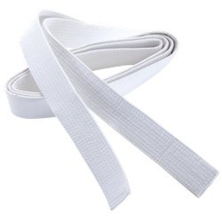 Пояс для тхэквондо ProfSport без вышивки (4 см) белый