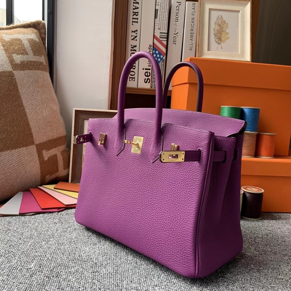 Hermes Birkin 25