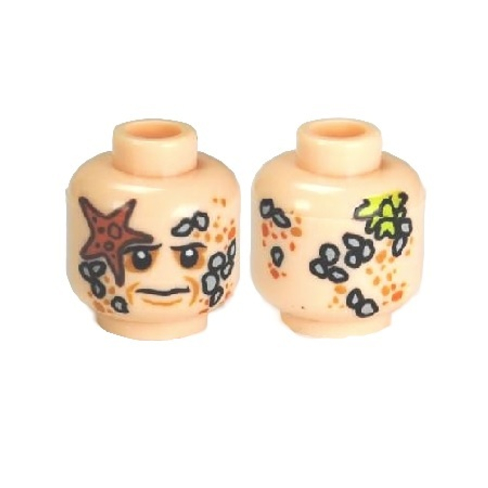 Голова 3626pb0631