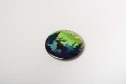 Магнит закатной в ассортименте