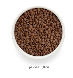 GRANDORF FRESH Ягненок с бататом для кошек