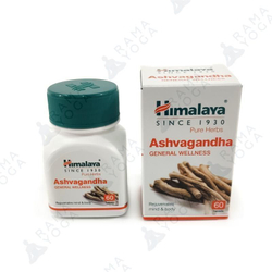 Ашваганда Гималаи в таблетках Ashvagandha Himalaya