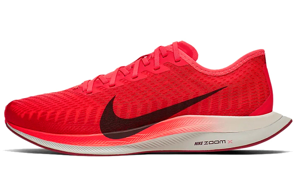 Кроссовки Nike Pegasus Turbo 2