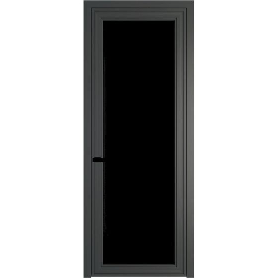 Алюминиевая дверь 1AGP серая ночь стекло чёрный триплекс