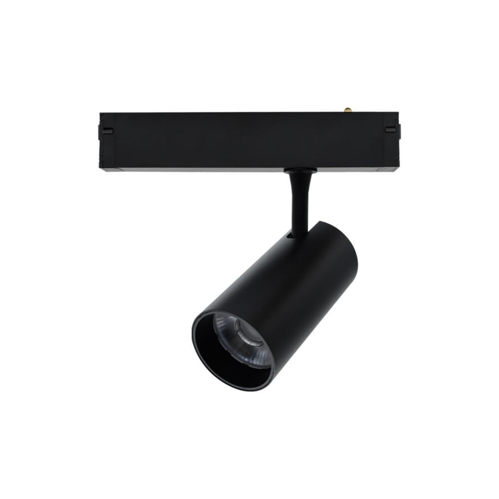 Магнитный трековый светильник Aployt Magnetic track 220 APL.0205.00.20