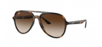 Ray Ban RB4376 710/13 Havana