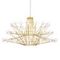 Подвесной светильник Loft IT Coppelia 10476 Gold