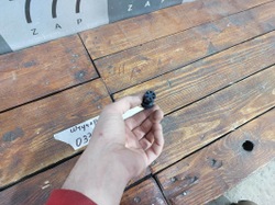 Штуцер Mercedes OM654 A6540700932 Б/У Оригинал A6540700932