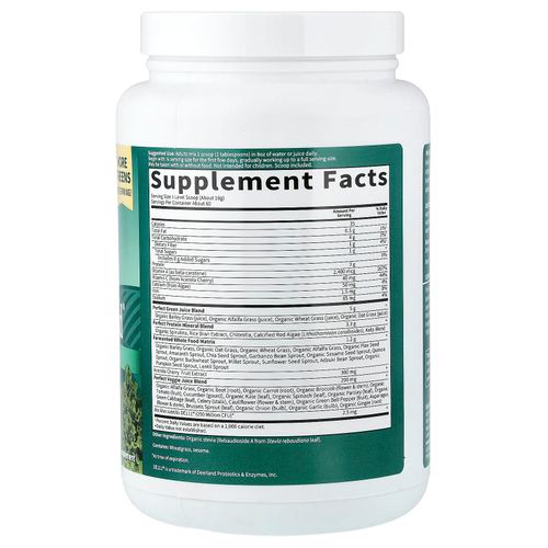 Garden of Life, Perfect Food®, Super Green Formula, 600 г (21,16 унции)