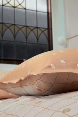 Постельное белье 2 спальное евро Blanc des Vosges Tom Rabane вид