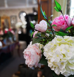 Гортензия белая