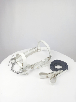 Уздечка из натуральной кожи для пони с удилами и поводом, белая
