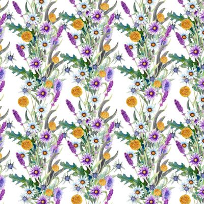 Полевые цветы