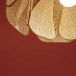 Подвесной светильник Freya Cocoon FR5529PL-01B