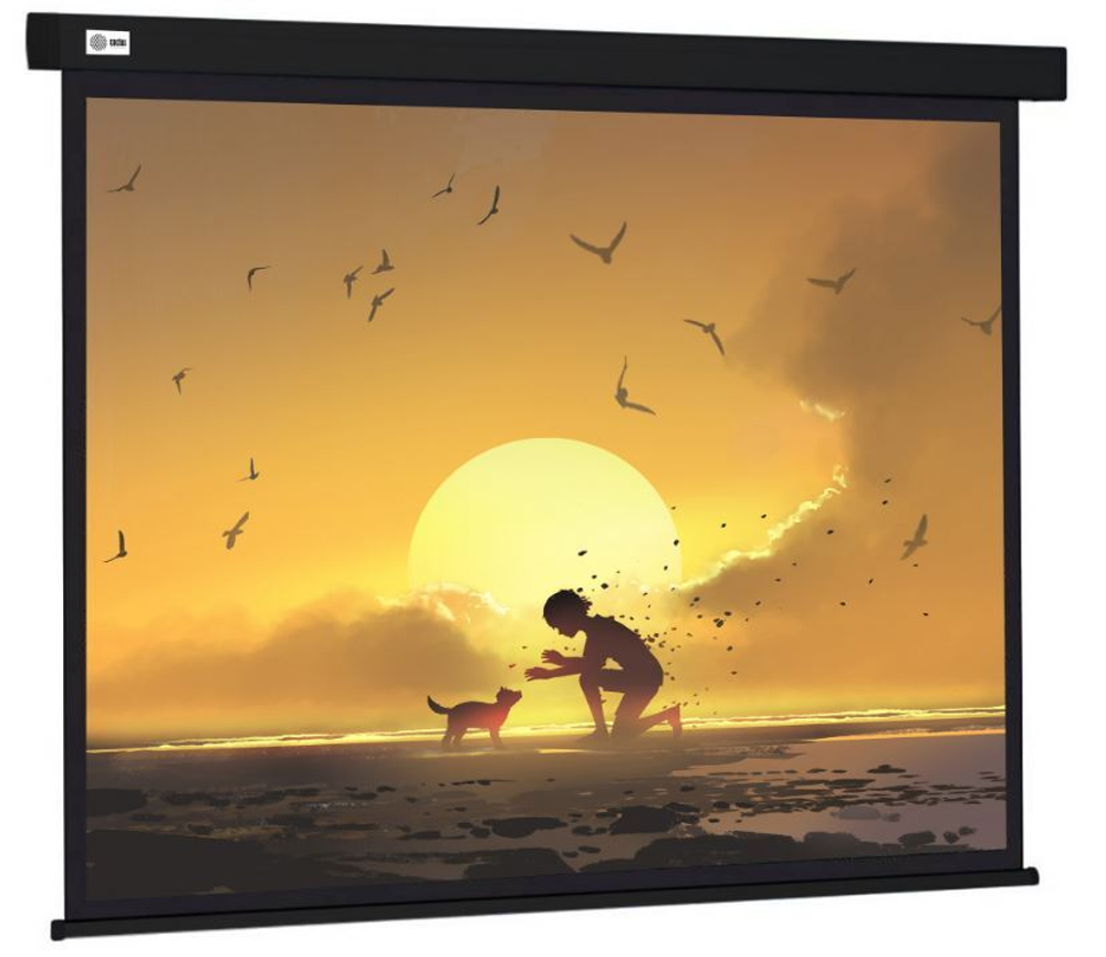 Экран  Cactus CS-PSW-150X150-BK
