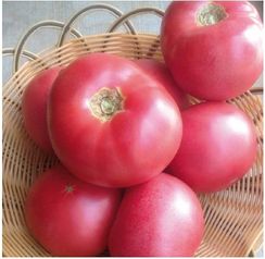 МЕЙ ШУАЙ F1 семена томата (Seminis | Alexagro)