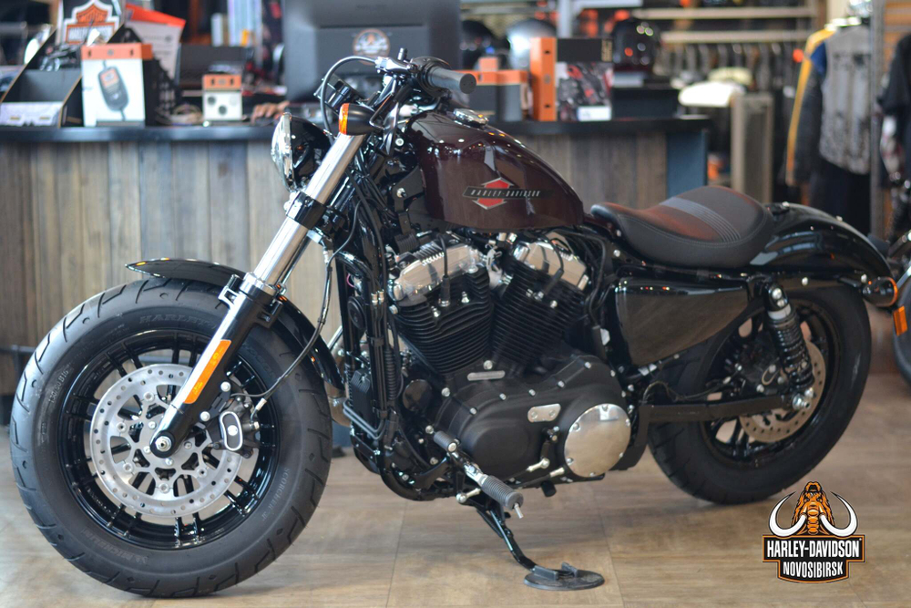 Харлей Дэвидсон 1200 Forty eight