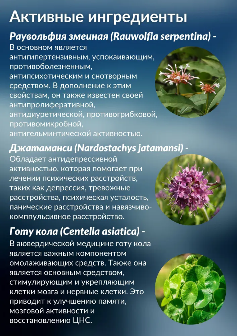 Кардимап Махариши Аюрведа в таблетках / Cardimap Maharishi Ayurveda