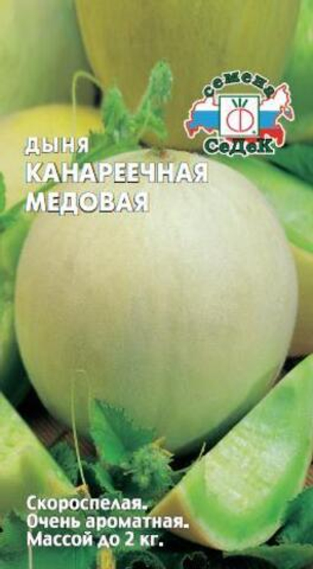 дыня Канареечная Медовая