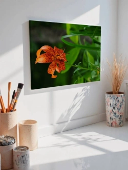 Картина на стену 40 X 50 Лилия