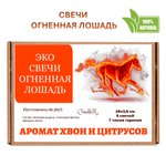 Свечи новогодние, Огненная лошадь, 26 см, 5 штук, цитрусы и хвоя