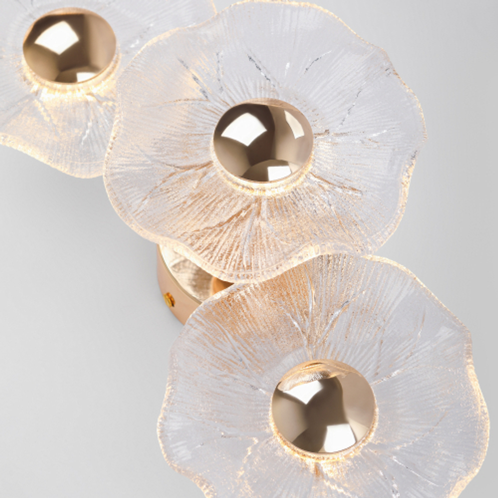 Бра светильник Rivoli   6135-401 светодиодный LED 7 Вт 3000 К дизайн