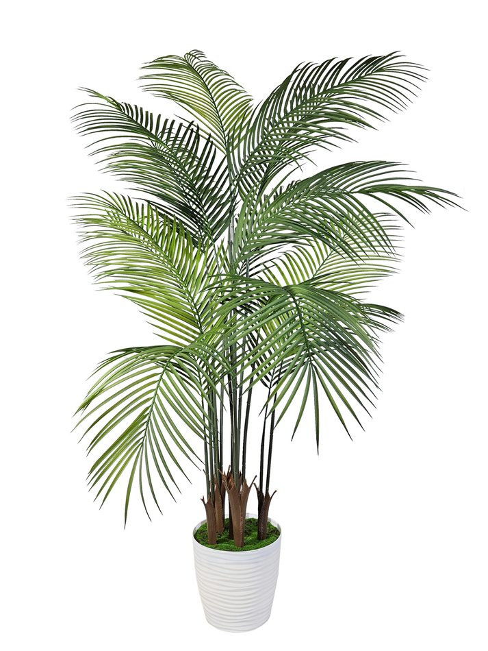 Пальма Арека Хризалидокарпус 160см в кашпо