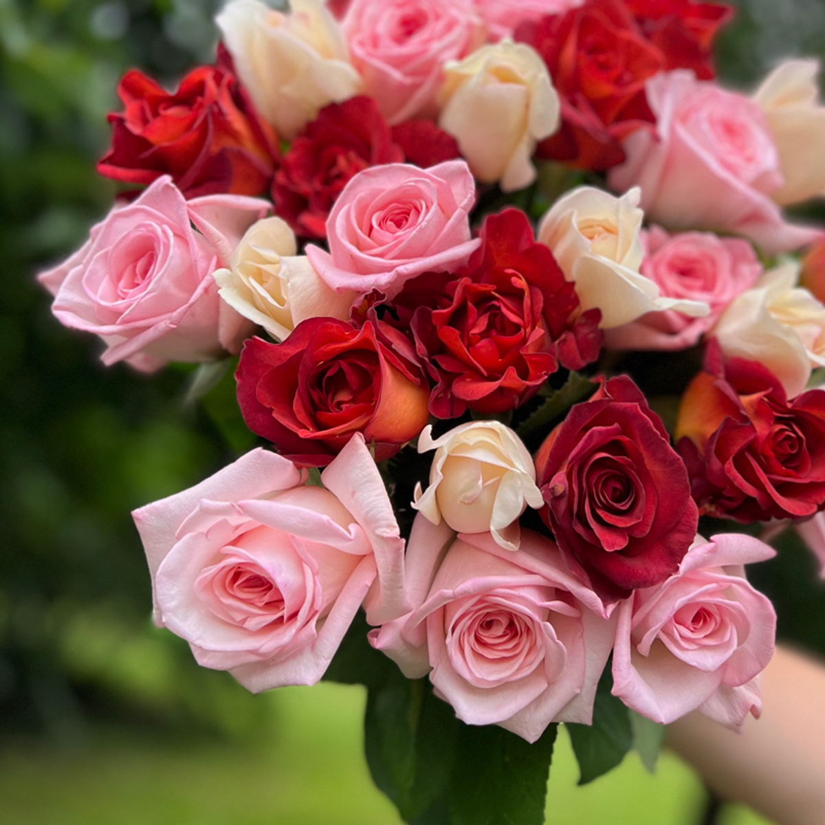 Имбирный микс — букет ароматных и интерьерных роз