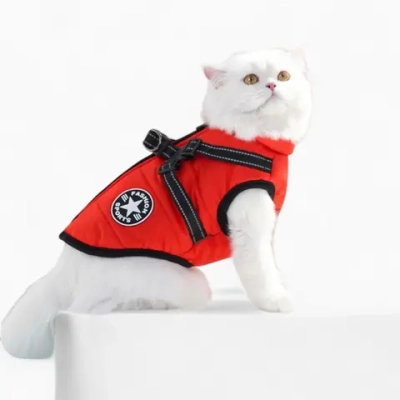 Жилетка «Fashion Star»