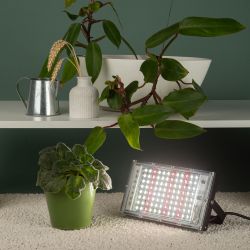 Фитопрожектор для растений светодиодный ЭРА FITO-80W-Ra90-LED-Y полного спектра | Фито прожекторы