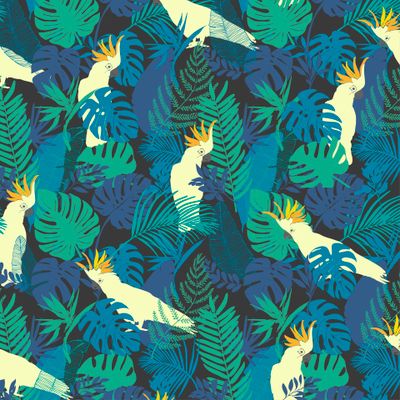 Какаду в тропиках