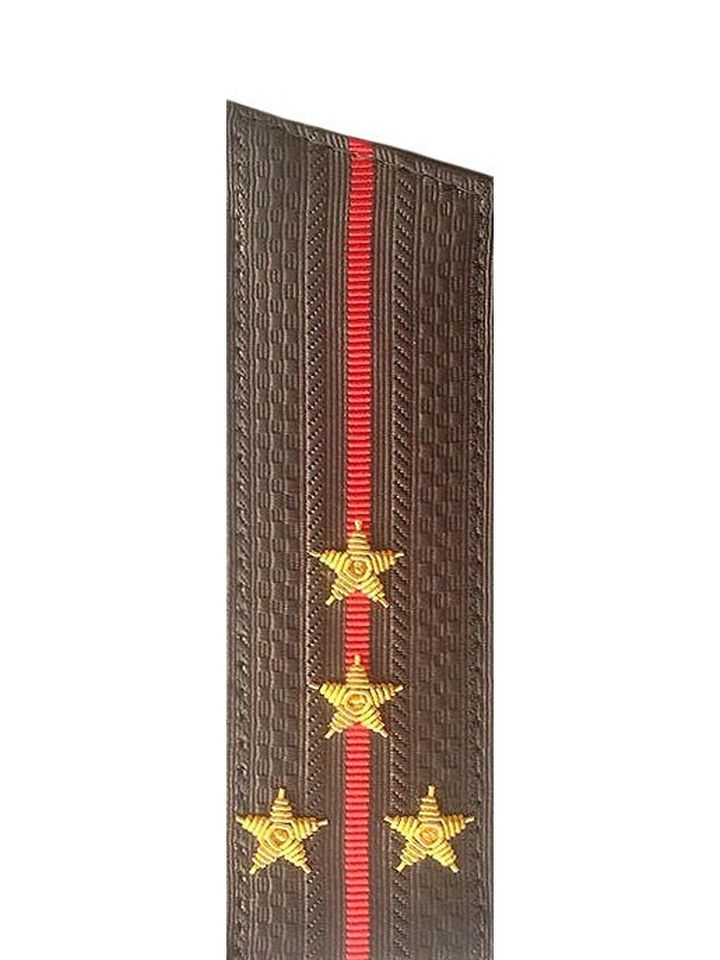 Погоны МО вышитые капитан (скос)