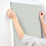 Small Prints Resource Library