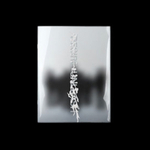 Альбом ENHYPEN - DESIRE : UNLEASH