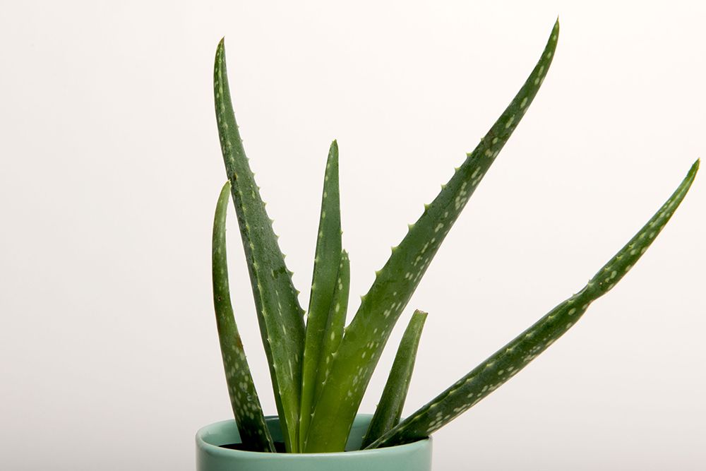 Superior 28 2.72 Х 11м Snow